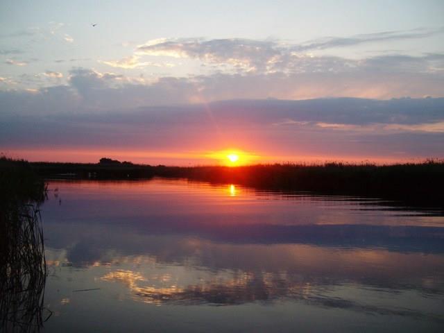 delta rosu 2010 - sany0734.JPG